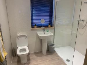 a bathroom with a toilet and a sink and a shower at Woodburn Lodge in Dumfries