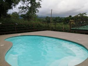 une petite piscine bleue avec une clôture dans l'établissement Big Bamboo de Uvita, à Uvita