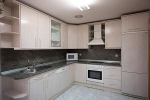 Kuchyňa alebo kuchynka v ubytovaní Gestión de Alojamientos Apartments