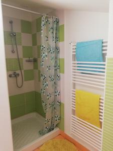 a bathroom with a shower and a shower curtain at Peaceful View Apartment in Koper