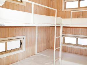 a bunk bed in a cabin with two windows at Horseshoe Bay Holiday Park in South West Rocks