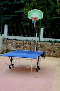 a basketball hoop with a blue court and a net at Zajazd u Sosny in Torzym