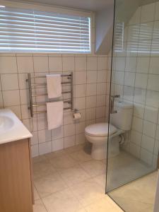 baño con aseo y puerta de ducha de cristal en Apartment 51 Akaroa en Akaroa