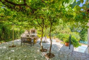 Vonkajšia záhrada v ubytovaní Villa Eleni