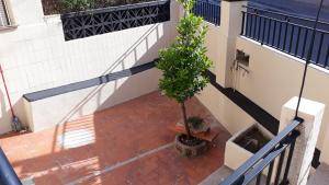 Una escalera con un árbol en una olla al lado de un edificio en loft turistic, en San Vicente dels Horts