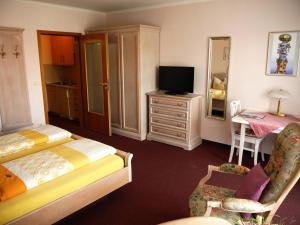 TV a/nebo společenská místnost v ubytování Hotel Fortuna