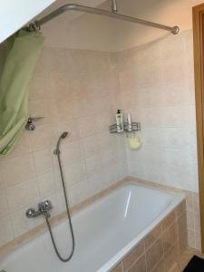 Kúpeľňa v ubytovaní apartment + 18 fotografií
