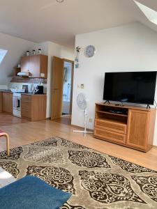 Kuchyňa alebo kuchynka v ubytovaní apartment