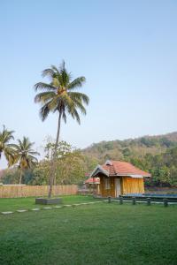a palm tree and a house in a field at Willow Heights in Athirappilly