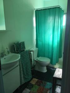 a bathroom with a toilet and a green shower curtain at Casa Glória in Ribeiradio