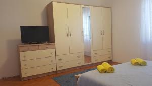 TV a/nebo společenská místnost v ubytování Apartman Josipa