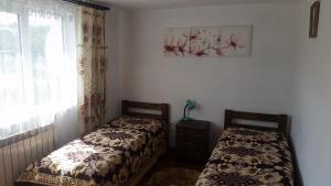 - une chambre avec deux lits à côté d'une fenêtre dans l'établissement Приватна садиба "Вікторія', à Yasinya