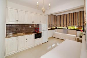 A kitchen or kitchenette at kassandrinos apartments apostolos