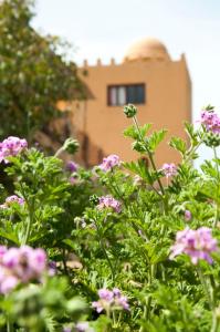 a field of flowers with a building in the background at Gîte Raid Oriental in Taforhalt