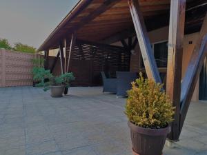 a patio with potted plants on a building at Irina Apartments in Timişoara
