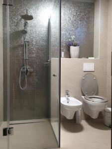 a bathroom with a shower and a toilet and a sink at Irina Apartments in Timişoara +9 photos