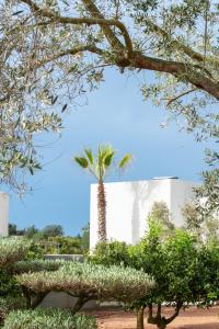 Zahrada ubytování Can Jaume Private Villas by Ocean Drive