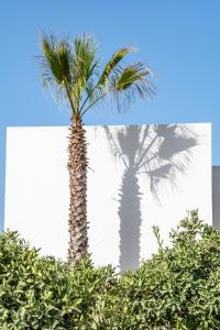 Fotografie z fotogalerie ubytování Can Jaume Private Villas by Ocean Drive v destinaci Ibiza (město)