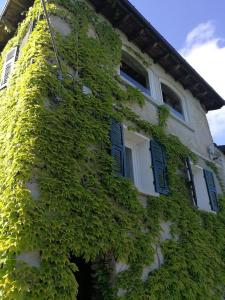 an ivy covered building with blue shutters and windows at Casale Maria Mafalda in Pieve di Teco