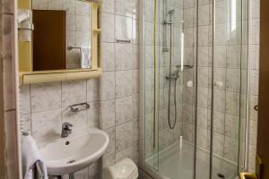 ein Bad mit einer Dusche und einem Waschbecken in der Unterkunft Hotel Carlstadt in Karlovac