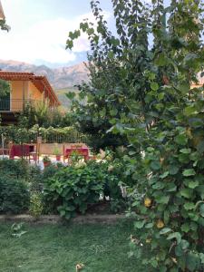 Imagen de la galería de Hotel Villa Ago, en Përmet 86 fotos más