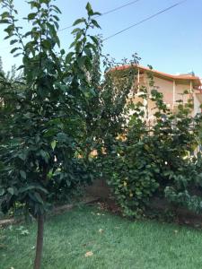 Imagen de la galería de Hotel Villa Ago, en Përmet