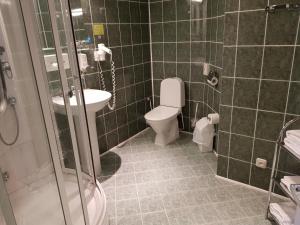 Koupelna v ubytování Toila Spa Hotel