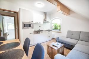 Η κουζίνα ή μικρή κουζίνα στο Apartments Grad Kamen