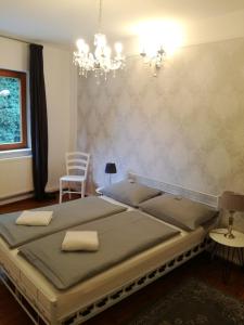 1 dormitorio con cama y lámpara de araña en Castle Hotel, en Regensburg