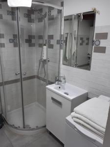 マドリードにあるAPARTAMENTO PLAZA MAYORの白いバスルーム(シャワー、シンク付)