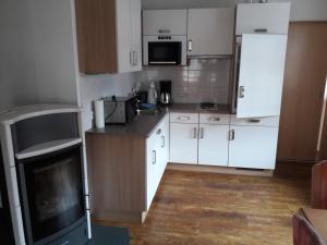 Haus Koller في كابرون: مطبخ صغير مع دواليب بيضاء ومدفأة
