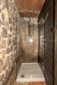 a bathroom with a shower with a stone wall at Vineyard Cottage Skatlar in Otočec