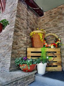 a group of flowers in pots on a brick wall at Apartmánový dom Fatrapark 1- Ap 318, Ap 306 Mezonet in Ružomberok