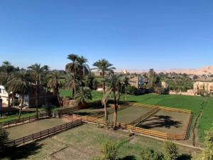 an aerial view of a park with palm trees at Cleopatra Hotel Luxor in Luxor