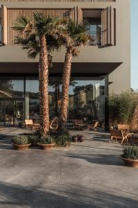 two palm trees in front of a building at OKU Ibiza in San Antonio