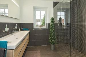 a bathroom with a sink and a shower with a plant at Villa Waldstr. App 14 in Bansin
