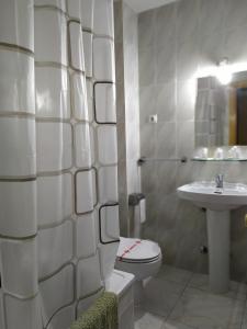 y baño con aseo y lavamanos. en Hostal Sierra de Gredos, en Arenas de San Pedro
