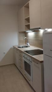 a kitchen with a sink and a refrigerator at Apartment Marina in Vinkovci