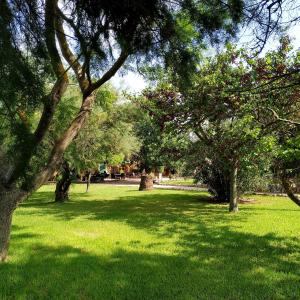 A garden outside Petit Hotel Es Figueral