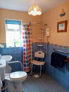 y baño con aseo, lavabo y ducha. en Bray Cottage, en Sidmouth