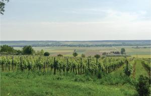 Przyroda w pobliżu tego domu wakacyjnego