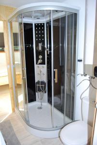 a glass shower in a room with a toilet at Tiny House Ruheoase in Zwettl Stadt