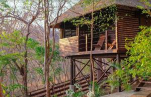 una casa en el árbol con terraza en el bosque en Buena Vista Surf Club, en El Plantel