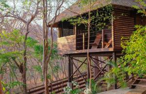 a tree house with a deck in the woods at Buena Vista Surf Club in Playa Maderas