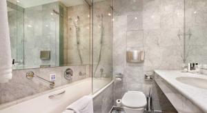 Koupelna v ubytování Dvorak Spa & Wellness