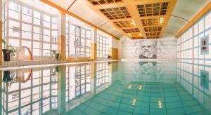 Bazén v ubytování Dvorak Spa & Wellness nebo v jeho okolí