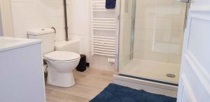 Un baño blanco con inodoro y ducha. en Le Bas Rebberg - Face Gare, en Mulhouse 24 fotos más