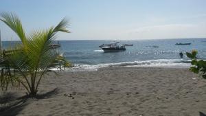 un bateau dans l'eau sur une plage avec un palmier dans l'établissement VILLA SOKA, à Les Anses-d'Arlet