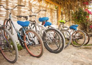 een groep fietsen geparkeerd naast een muur bij Palapas Ventana in La Ventana