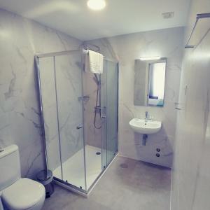 a bathroom with a shower and a toilet and a sink at Baixinho Guest House in Vila Praia de Âncora